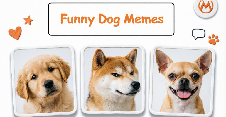 Dog Memes That Will Make You Smile Every Time